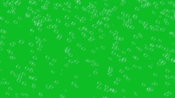 Små Bubblor Stiger Ständigt Upp Den Gröna Skärmen 60Fps Abstrakt — Stockvideo
