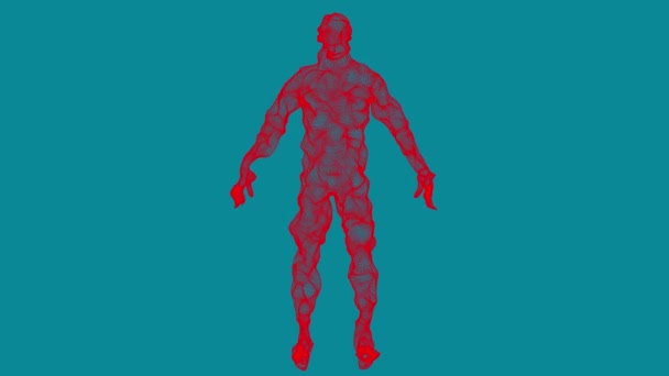 Ein Menschliches Modell Roter Linien Und Gitter Die Schillernde Figur — Stockvideo