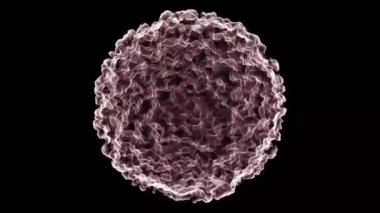 Üç boyutlu hücre modeli siyah bir zemin üzerinde döner, insan vücudunun makro görüntüsü. Tıbbi Biyolojik Konsept. Virüs siyah arkaplanda izole edilmiş. 60 fps 3B görüntüleme.