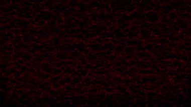 Siyah arkaplanda çok hızlı kırmızı iplikler ve düğümler var. Ağı düzleştir. Soyut dijital dalga. Gelecekçi nokta dalgası. Büyük veri. 60 fps 3B görüntüleme.