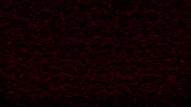 非常に速い赤い糸と黒の背景に結び目 滑らかなウェブを吸収しなさい 抽象的なデジタル波 未来的なポイント波 ビッグデータだ 60Fps 3Dレンダリング — ストック動画