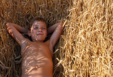 Ağzında çimen sapı olan bir adam buğday tarlasında yatıyor. Bir okul çocuğu yaz tatilinin tadını çıkarır..