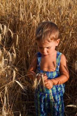 Buğday dikenli bir çocuk. Dünyadaki açlık sorunu. Fakir ülkelerde çocuk açlığı kavramı. Aç bir çocuk..
