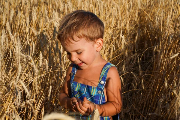 Ein Kind Auf Einem Feld Zwischen Weizenstacheln Das Konzept Des — Stockfoto