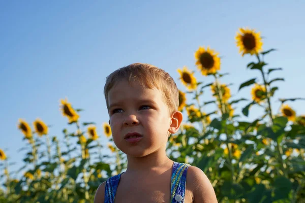 在蓝天和向日葵的映衬下 可爱的3岁小宝宝 一个夏天背景的小男孩的肖像 软焦点 — 图库照片