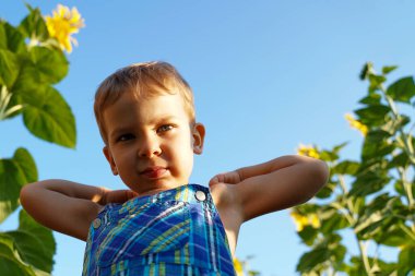 Bebeğin portresi açık mavi gökyüzü ve ayçiçeklerinin arka planında, aşağıdan görünüyor. Yazın gökyüzüne karşı tatlı sarışın bebek..