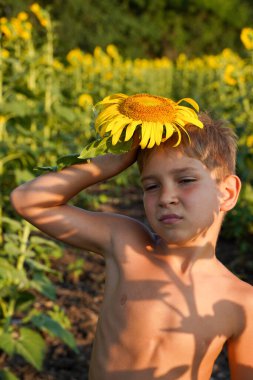 Kafasında ayçiçeği olan bir çocuk. Ayçiçekli komik bir poz. Köyde eğlenceli bir yaz tatili. Ayçiçekli çocuk modeli.