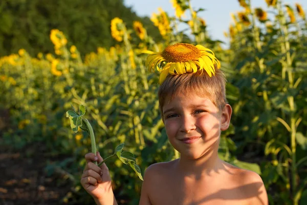 一个头上戴着葵花花的男孩开向日葵的滑稽姿势 儿童保护的概念 向日葵男孩模型 — 图库照片
