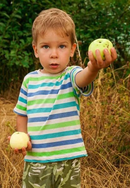 一个孩子伸出手来拿着一个变质的苹果 他把成熟的苹果放在另一只手里 一个小天才 — 图库照片