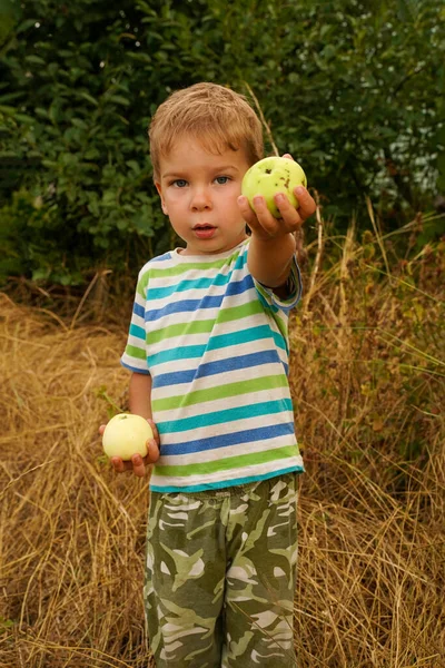 夏天花园里的小男孩伸出一只手拿着一个新鲜的苹果 善良体贴的孩子儿童的适当抚养 — 图库照片