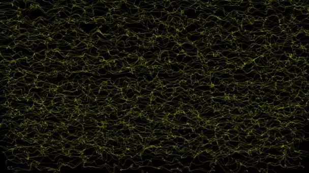 Gele Draden Knopen Zwarte Achtergrond Asbtract Glad Web Abstracte Digitale — Stockvideo