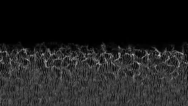 宇宙摆动线 水下白色未来主义藻类抽象波浪状移动的草样的头发在黑色的背景 Fps 3D动画 — 图库视频影像