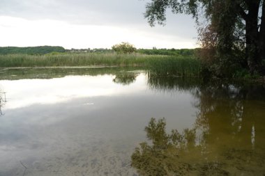 Nehir kıyısında huzur ve sessizlik, güneşli sahil - sakin nehir manzarası. Seçici odak.