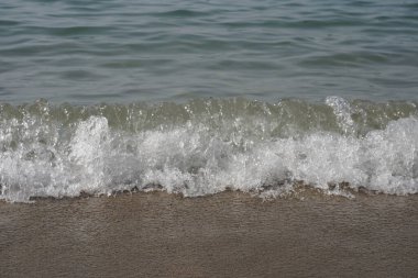 Güneşli bir günde güzel tropik plaj ve denizin doğa manzarası. Sahildeki deniz alanı. Seçici odak.