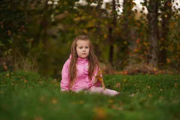 快乐快乐的孩子 可爱的小女孩 穿着鲜艳多彩的保暖衣服 在落叶间嬉戏 采摘干花 — 图库照片