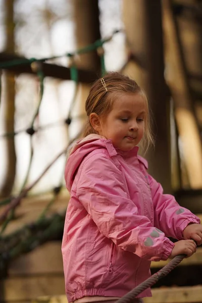 Aranyos Kis Lány Élvezi Idejét Hegymászó Kalandpark Napsütéses Nyári Napon — Stock Fotó