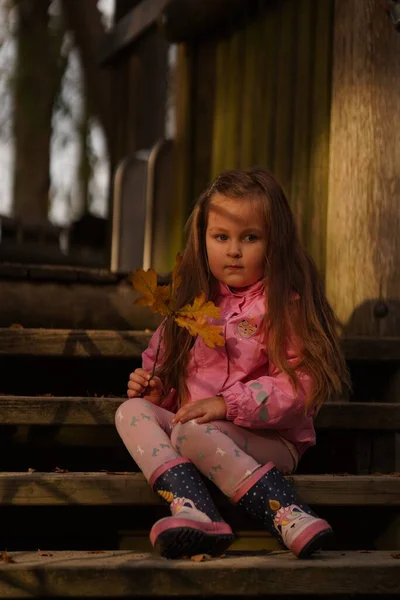 Nettes Kleines Mädchen Hält Einen Gefallenen Gelben Ahorn Und Lächelt — Stockfoto