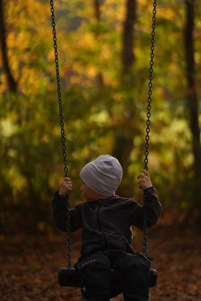 秋天的一天 小男孩在公园的操场上荡秋千 玩得很开心 快乐的孩子喜欢荡秋千 市区儿童的积极户外运动 — 图库照片