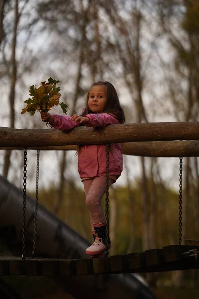 美丽快乐的小女孩在公园或森林中散步的秋天户外肖像 — 图库照片