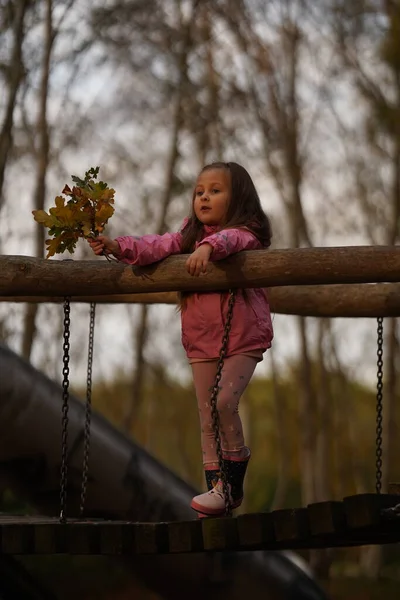 Boldog Kisgyermek Kislány Nevet Játszik Ősszel Természet Séta Szabadban — Stock Fotó