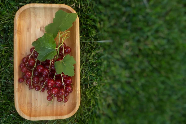 Wooden Rectangular Dish Berries Green Grass Close Organic Baby Food — Stockfoto