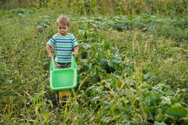 Een Kind Met Een Speelgoed Kruiwagen Een Boerenveld Blond Jongetje — Stockfoto