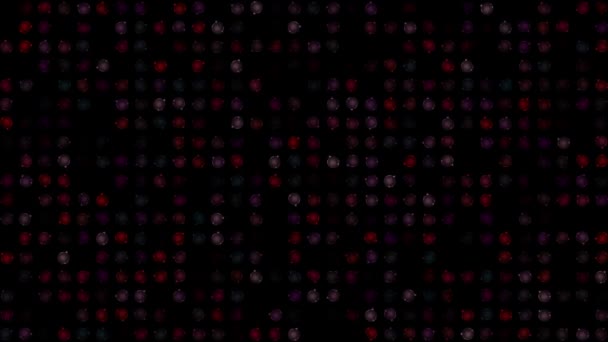 Farbe Blinkende Rotierende Weihnachtskugeln Auf Schwarzem Abstrakter Festlicher Hintergrund Für — Stockvideo