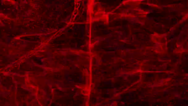 黒い背景に赤い粒子の嵐 粒子竜巻 粒子の波 テキストの要約背景 創造的なダイナミックな形状のアニメーション ビジネス 60Fps 3Dレンダリング — ストック動画