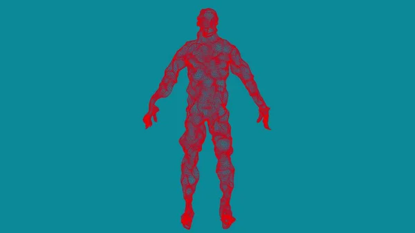 Piros Mozgó Vonalak Rácsok Emberi Modellje Egy Férfi Csillogó Alakja — Stock Fotó