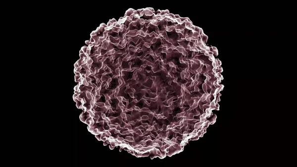 Cell Modell Svart Bakgrund Makro Syn Cellen Människokroppen Medicinskt Biologiskt — Stockfoto