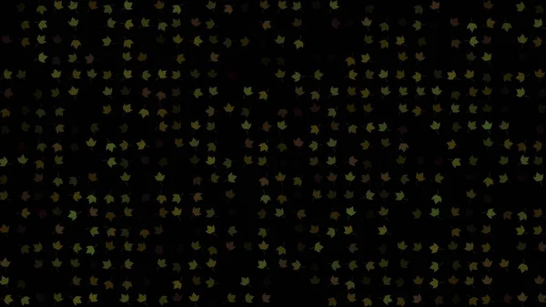 Farbige Blinkende Rotierende Ahornblätter Auf Schwarzem Grund Abstrakter Festlicher Hintergrund — Stockfoto