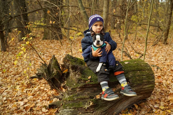 Egy Aranyos Fiú Mosollyal Megöleli Szeretett Kutyáját Erdőben Ülve Sétálj — Stock Fotó