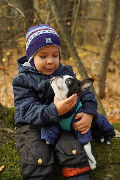 一个蹒跚学步的孩子带着他心爱的狗呆在森林里波士顿泰瑞埃人穿着时髦的衣服 最好的朋友坐在倒下的树上 — 图库照片