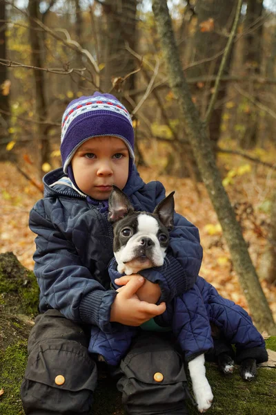 Een Peuter Met Zijn Geliefde Hond Natuur Het Bos Boston — Stockfoto