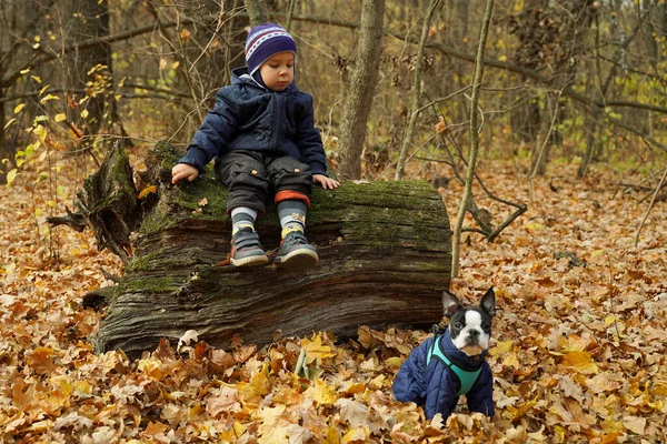 Kleiner Junge Sitzt Mit Seinem Hund Wald Ein Kind Und — Stockfoto
