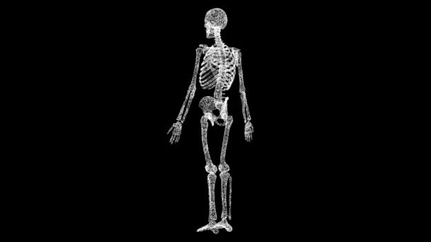 Skelet Draait Zwart Object Opgelost Wit Flikkerende Deeltjes Fps Zakelijke — Stockvideo