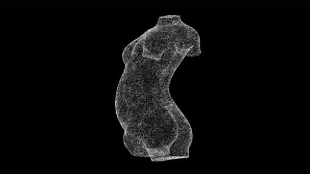 3D妊娠中の女性のバストは黒の袋に回転します 物体溶解白ちらつき粒子60 Fps ビジネス広告の背景 科学の概念 タイトル テキスト プレゼンテーションのために 3Dアニメーション — ストック動画