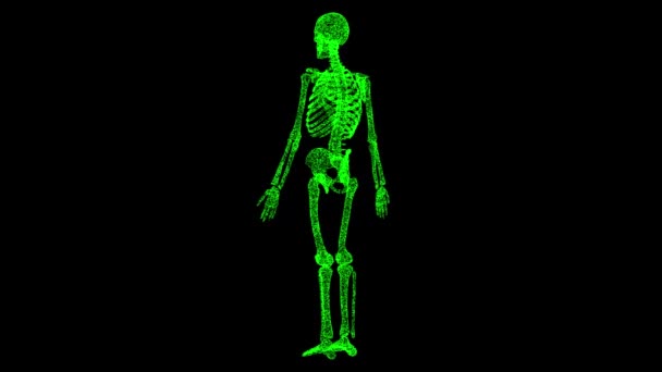 Esqueleto Gira Negro Objeto Disuelto Partículas Verdes Parpadeantes Fps Fondo — Vídeos de Stock