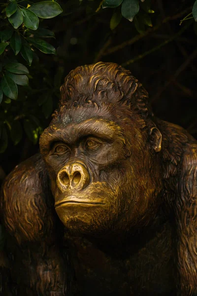 Gorille Bronze Sort Des Buissons Concept Loisirs Voyages Tropicaux Protection — Photo