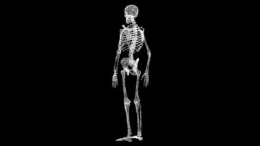 İnsan anatomisinin 3 boyutlu tıbbi animasyonu. Nesne erimiş beyaz parçacıklar 60 FPS. İş için reklam arkaplanı. Bilimsel tıp konsepti. Başlık, metin, sunum için. 3 Boyutlu Canlandırma.