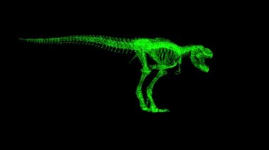 3D Tyrannosaurus rex iskeleti siyah bg üzerinde döner. Nesne çözünmüş yeşil parçacıklar 60 FPS. İş için reklam arkaplanı. Bilim konsepti. Başlık, metin, sunum için. 3 Boyutlu Canlandırma.