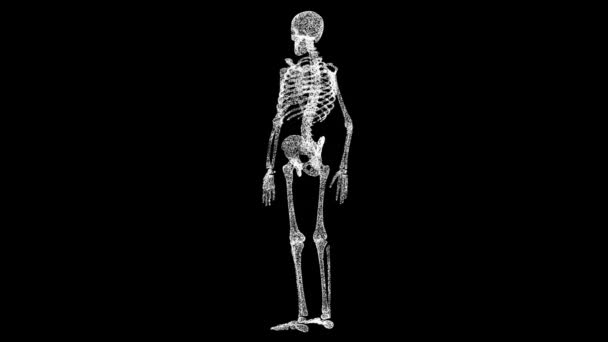 Emberi Anatómia Orvosi Animációja Objektum Oldott Fehér Villogó Részecskék Fps — Stock videók