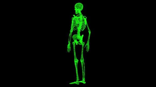 Skelett Rotiert Auf Schwarzem Grund Objekt Löste Grün Flackernde Teilchen — Stockvideo