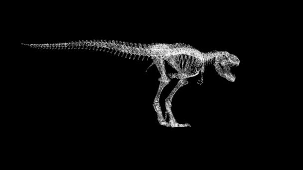 Tyrannosaurus Rex Csontváz Forog Fekete Objektum Oldott Fehér Villogó Részecskék — Stock videók