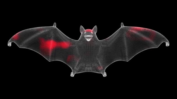 Espalhamento Vírus Através Morcego Volumétrico Monocromático Sobre Fundo Preto Demonstração — Vídeo de Stock