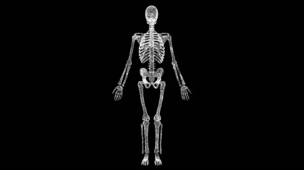 Csontváz Fekete Object Oldott Fehér Villogó Részecskék Üzleti Hirdetési Háttér — Stock Fotó