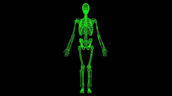 Skelet Zwart Opgeloste Groene Flikkerende Deeltjes Zakelijke Reclame Achtergrond Wetenschappelijk — Stockfoto