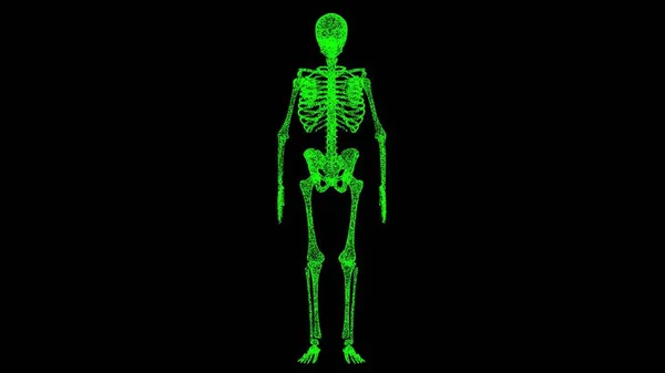 Csontváz Fekete Objektum Oldott Zöld Villogó Részecskék Üzleti Hirdetési Háttér — Stock Fotó