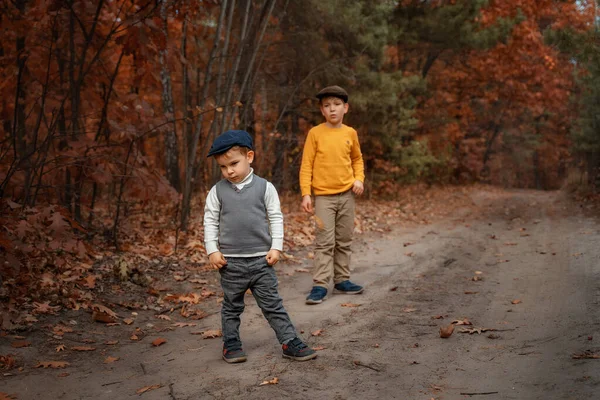 Niños Vestidos Moda Posando Bosque Estilo Retro Moda Otoño Para —  Fotos de Stock