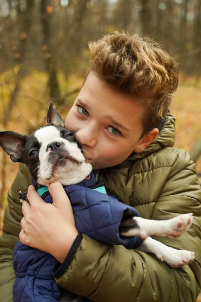 Мальчик Целует Своего Любимого Французского Бульдога Осеннем Лесу — стоковое фото